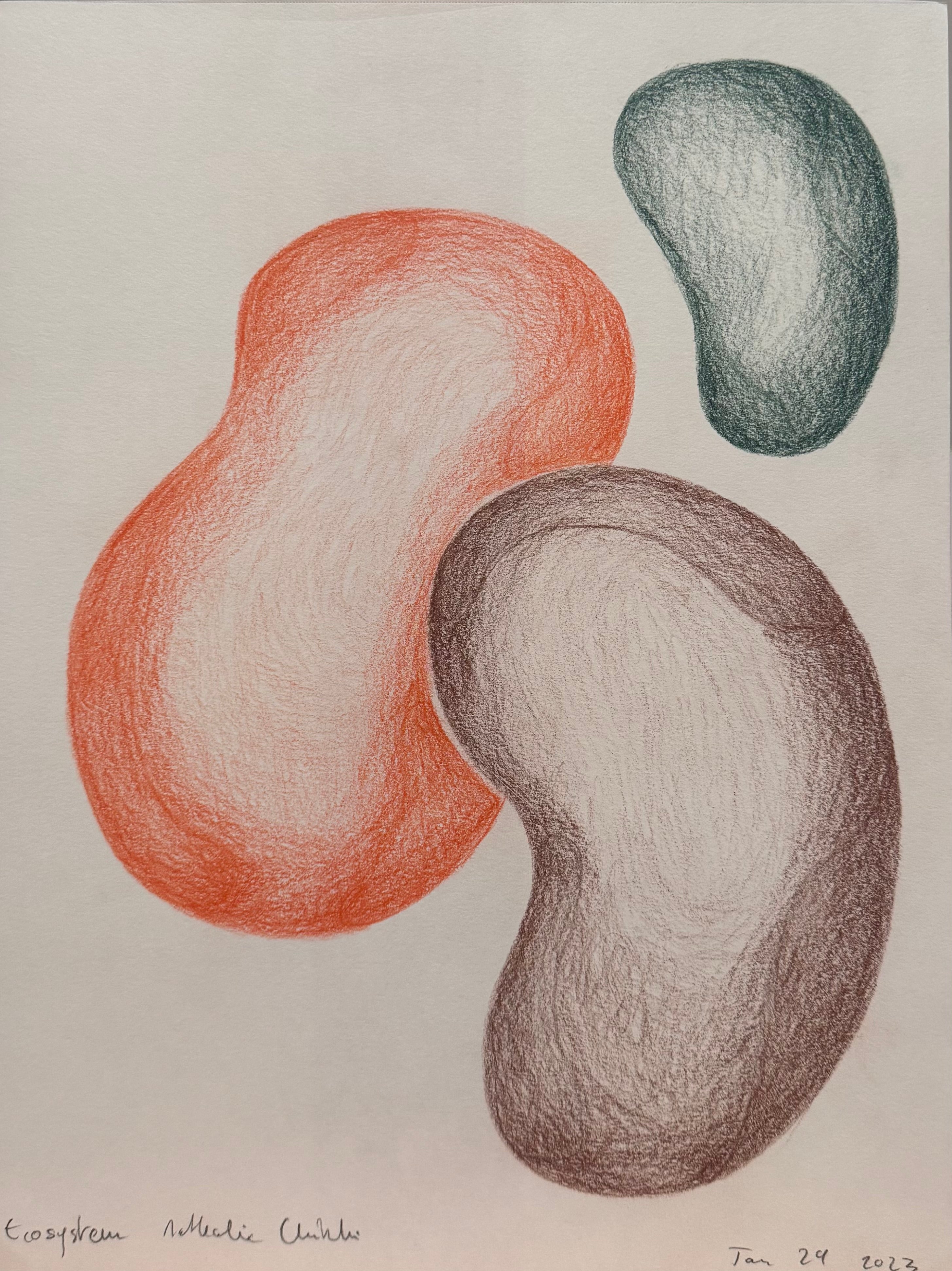 Ecosystem, l'irrational and Serenades